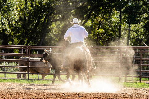 Ranch / Calf / Kid Ropes